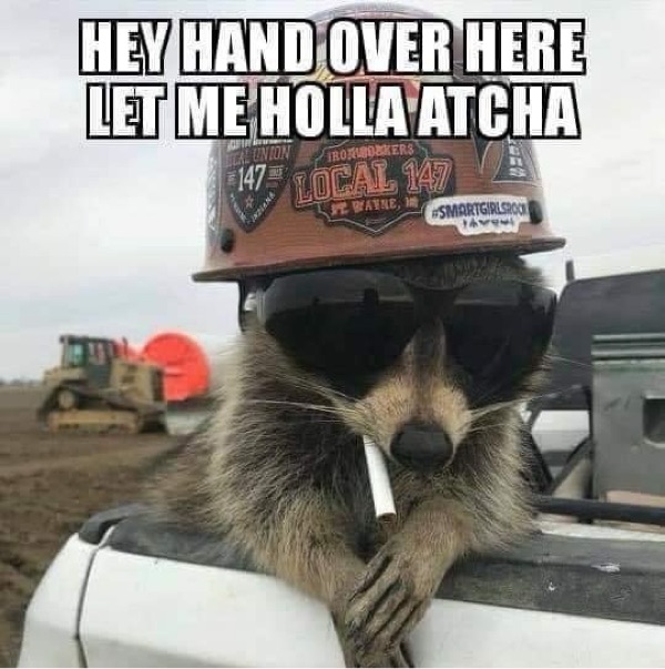 joe